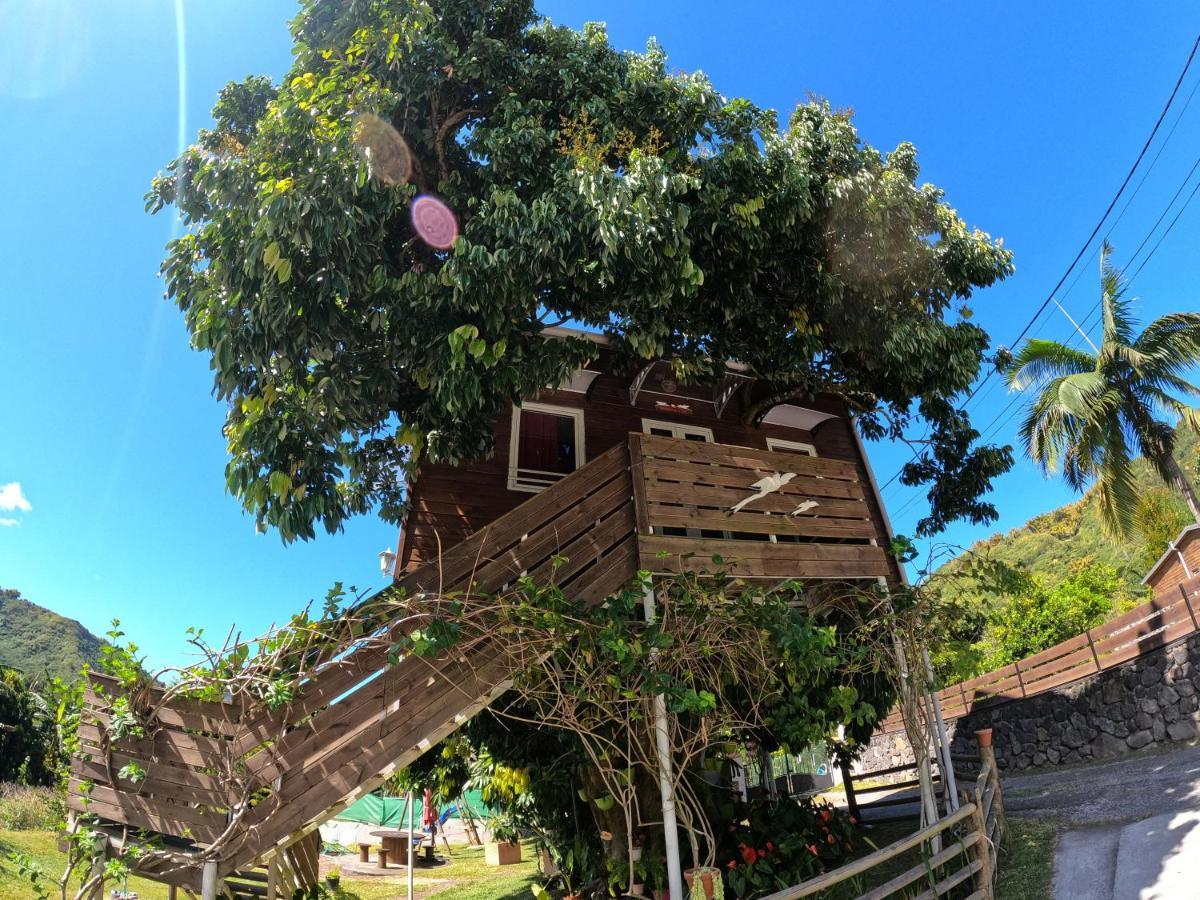 Ti Kaz Perchee Villa Entre-Deux Exteriör bild